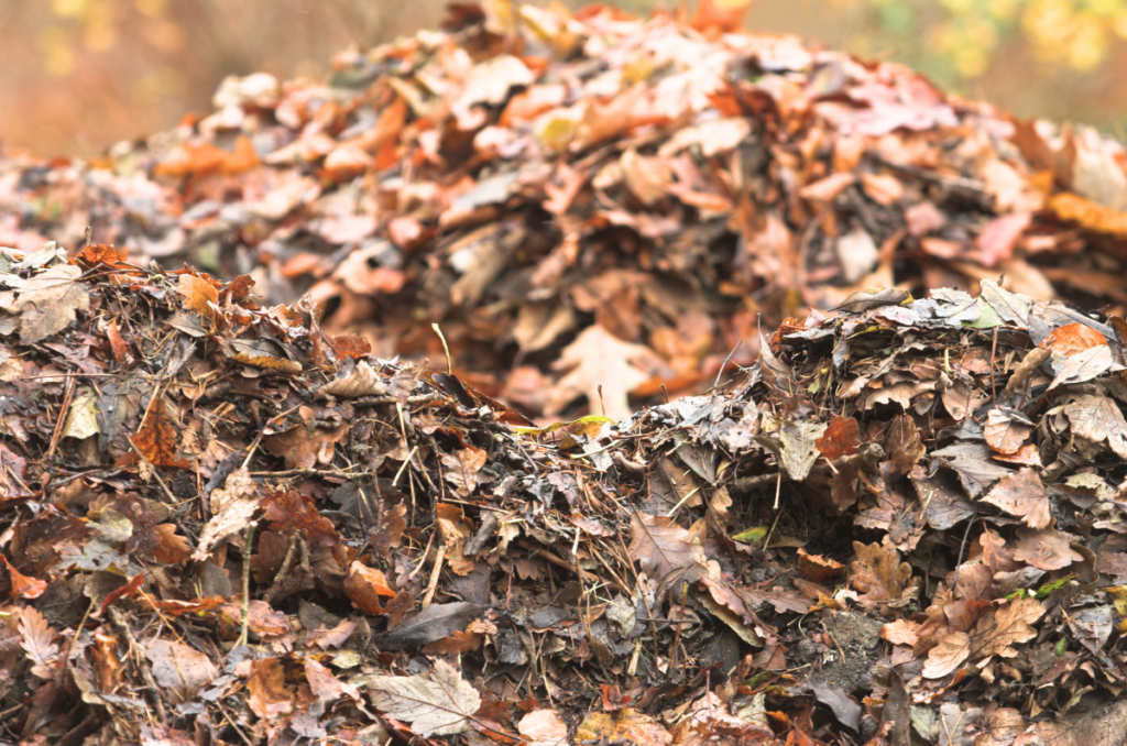 shredded leaf mulch for vegetable garden