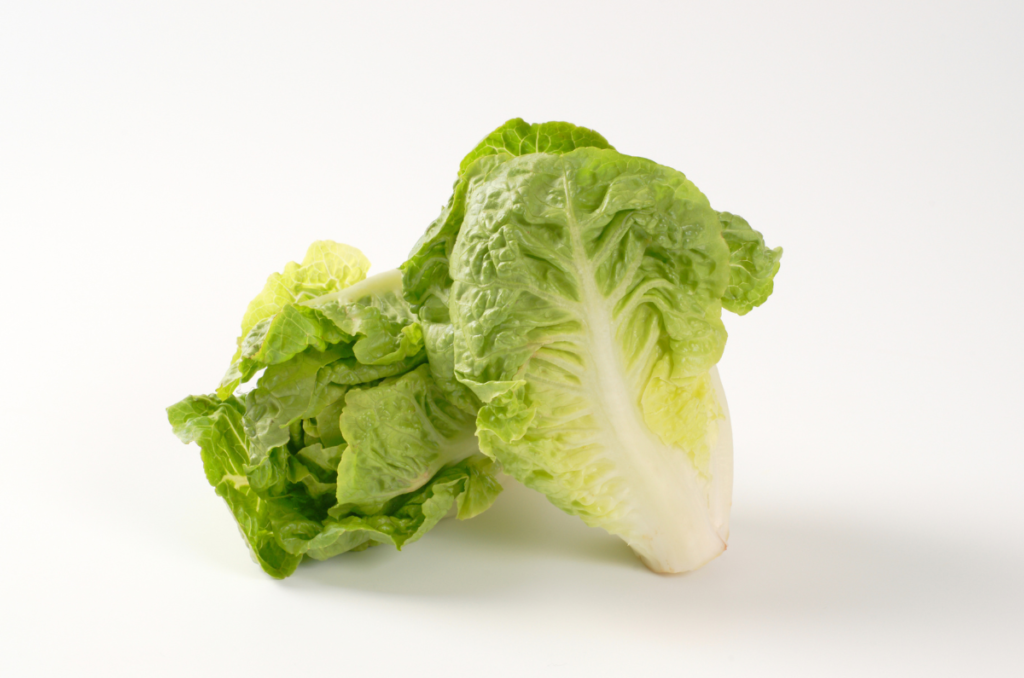 little gem lettuce variety for vegetable garden