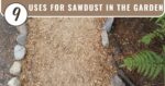 nine uses for sawdust in the garden