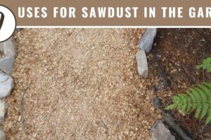 nine uses for sawdust in the garden