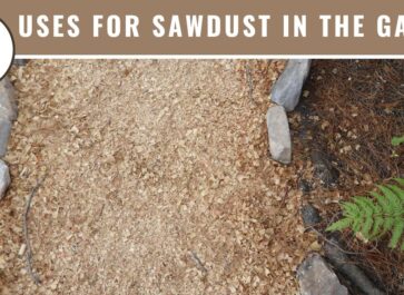 nine uses for sawdust in the garden