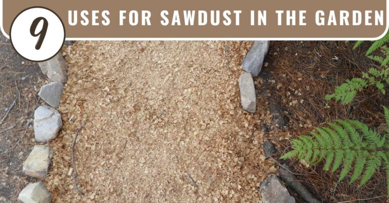 nine uses for sawdust in the garden