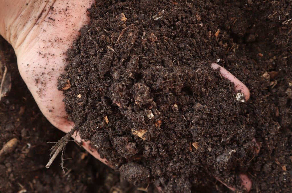 using biochar in garden soil