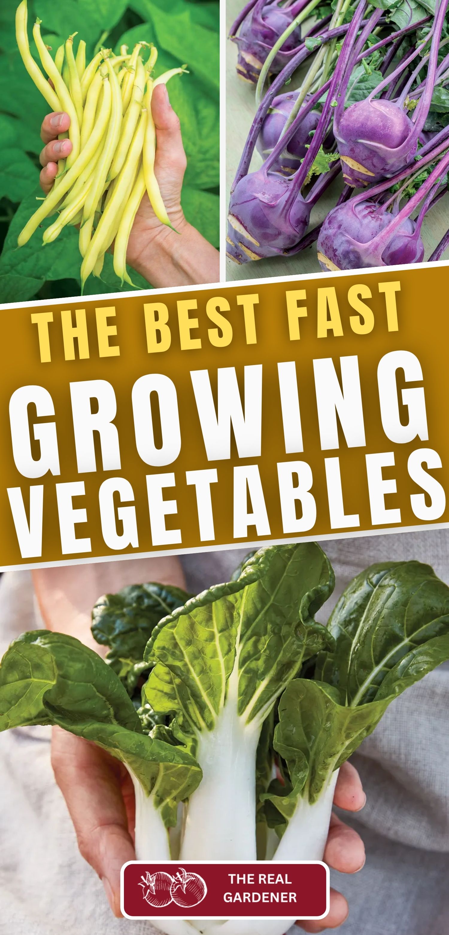 the best fast growing vegetables