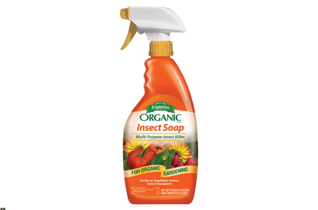 espoma organic insecticidal soap to get rid of aphids