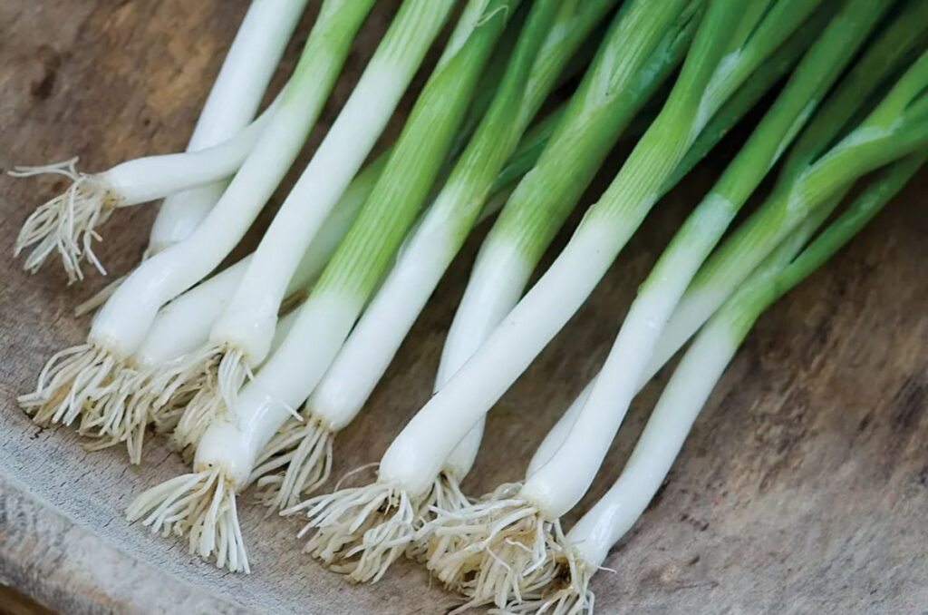 parade green onions variety