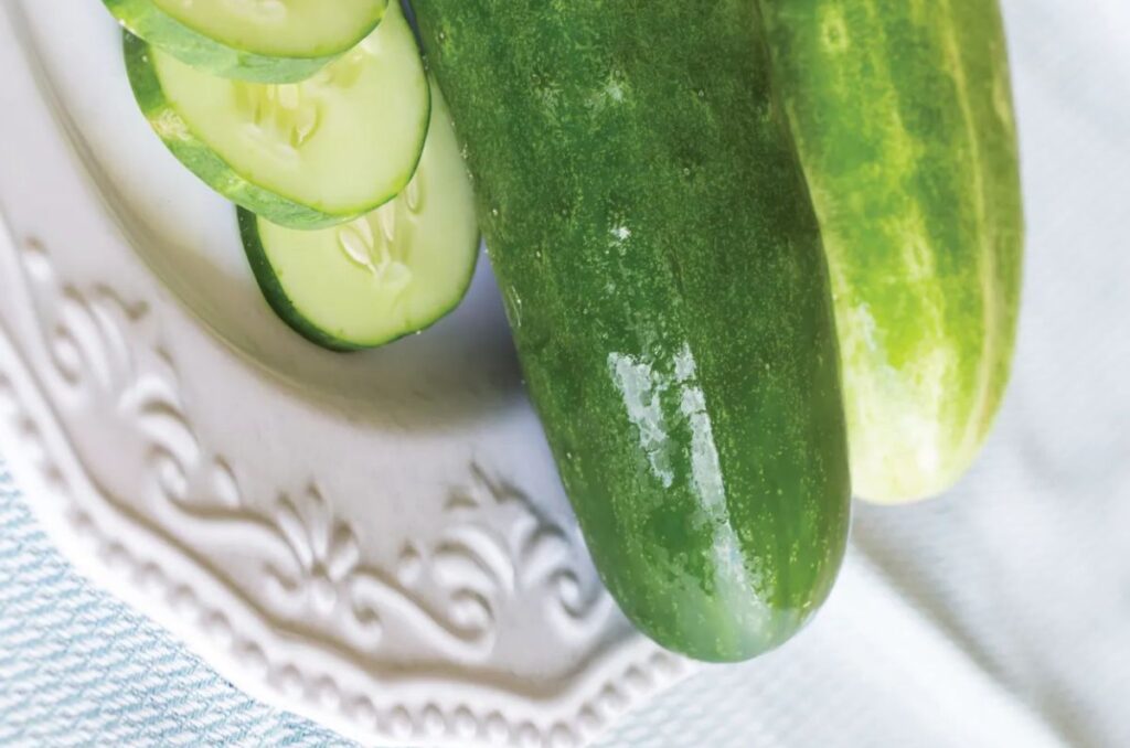 burpless beauty cucumber