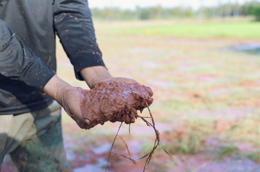 man holding wet clay soil in his hands