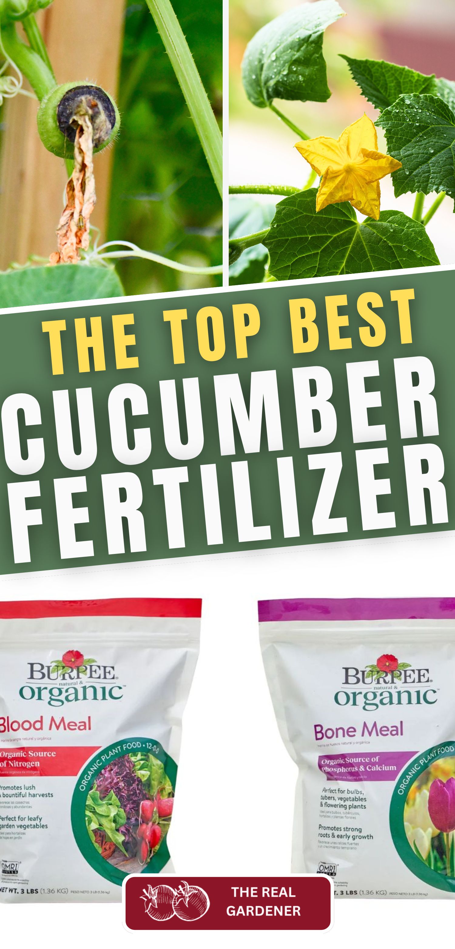 the top best cucumber fertilizer