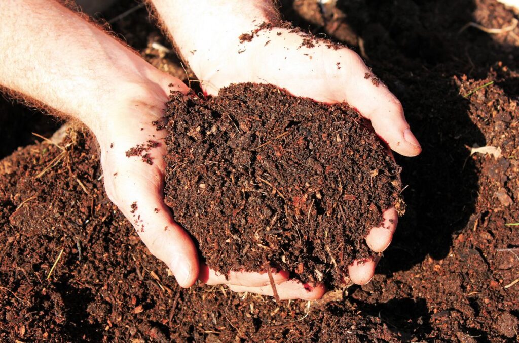 decomposed organic homemade compost