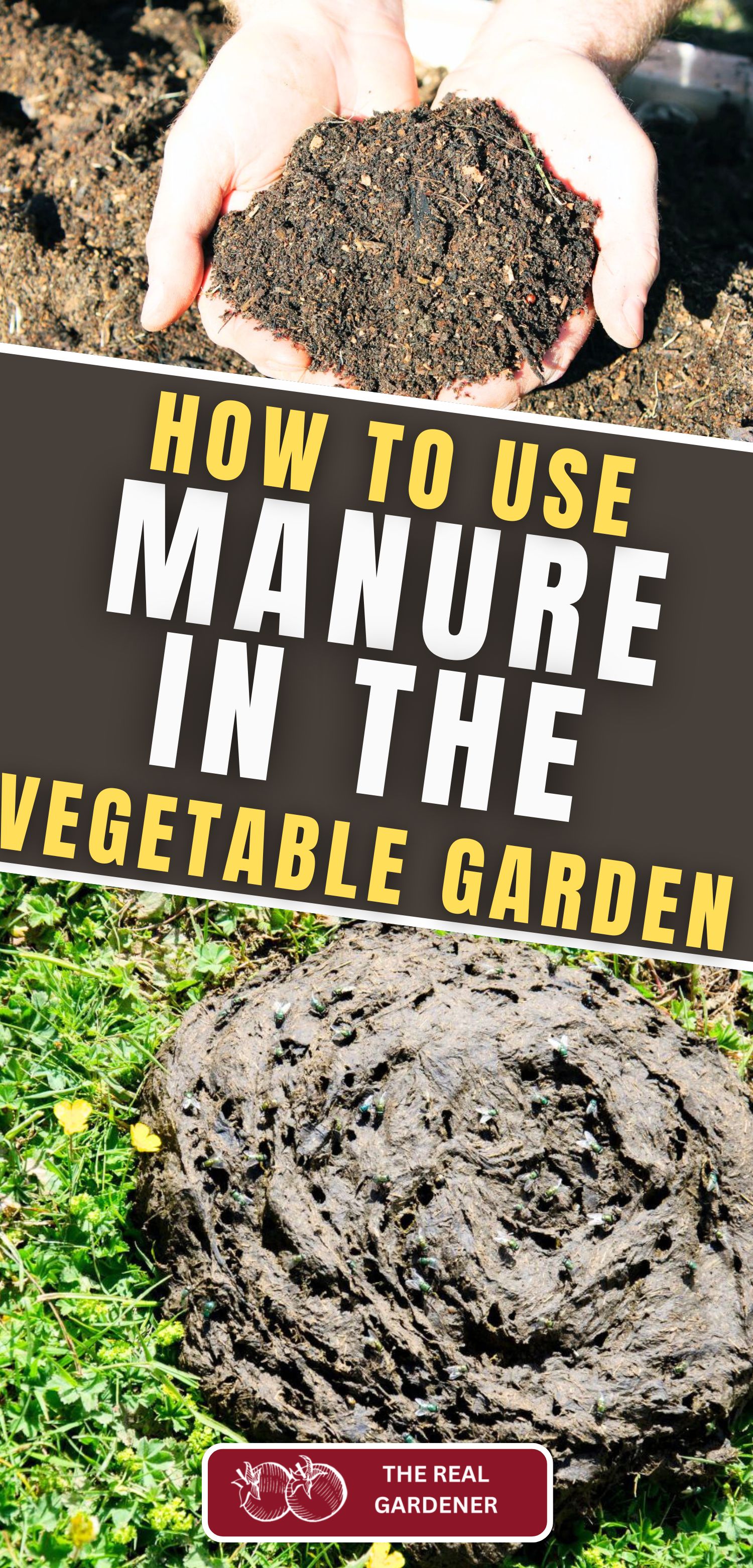 how to use manure in the vegetable garden