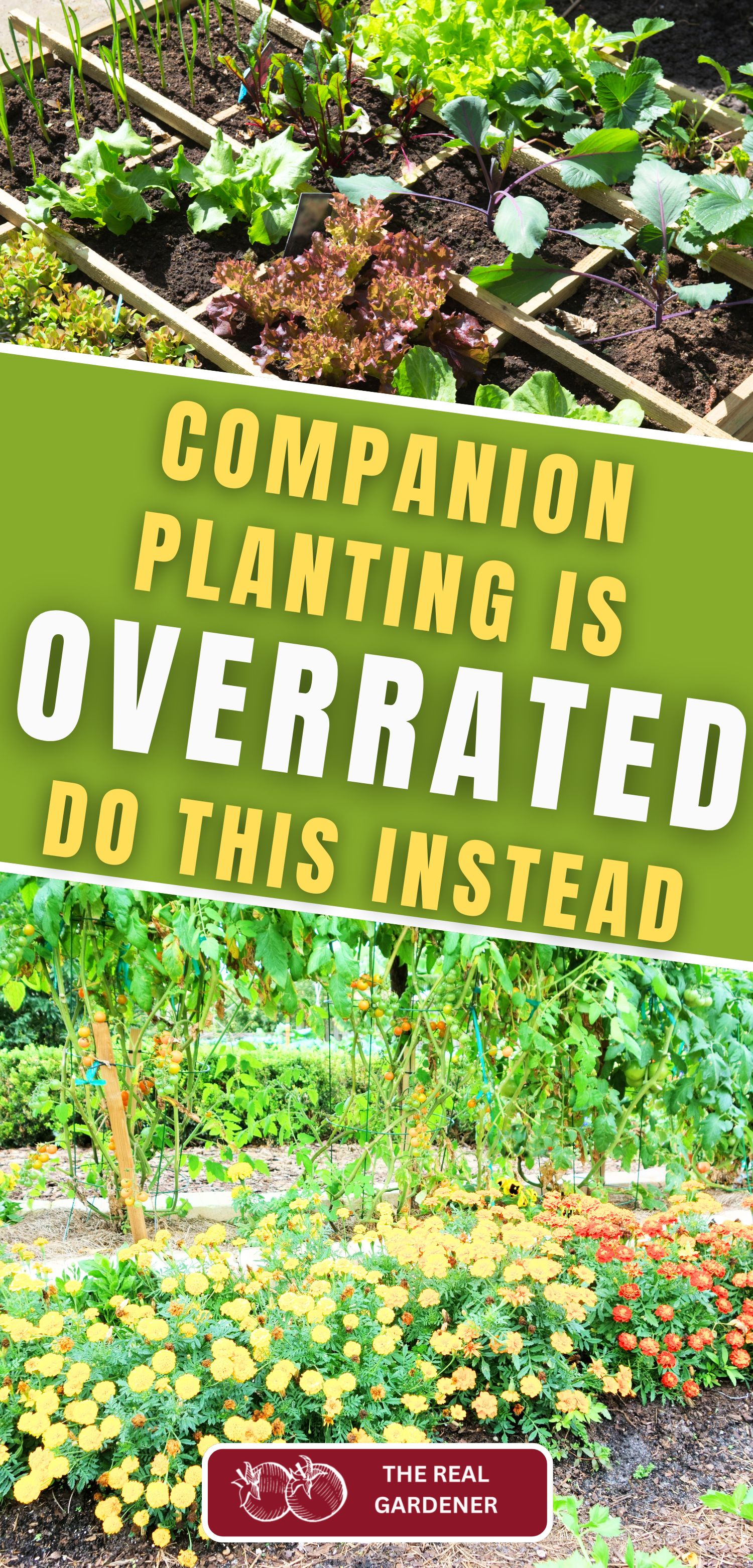 companion planting is overrated. do this instead