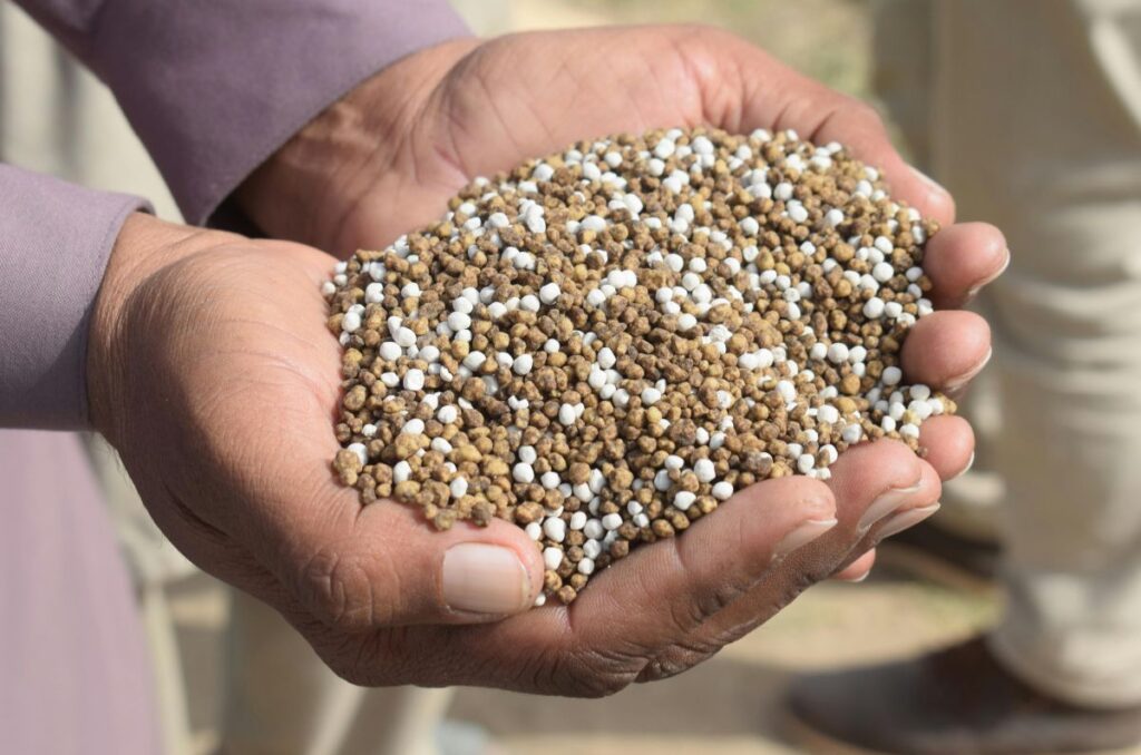 handful of granular fertilizer
