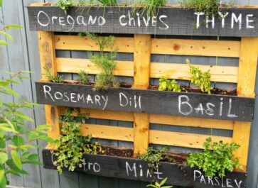 hanging planters