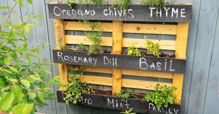 hanging planters