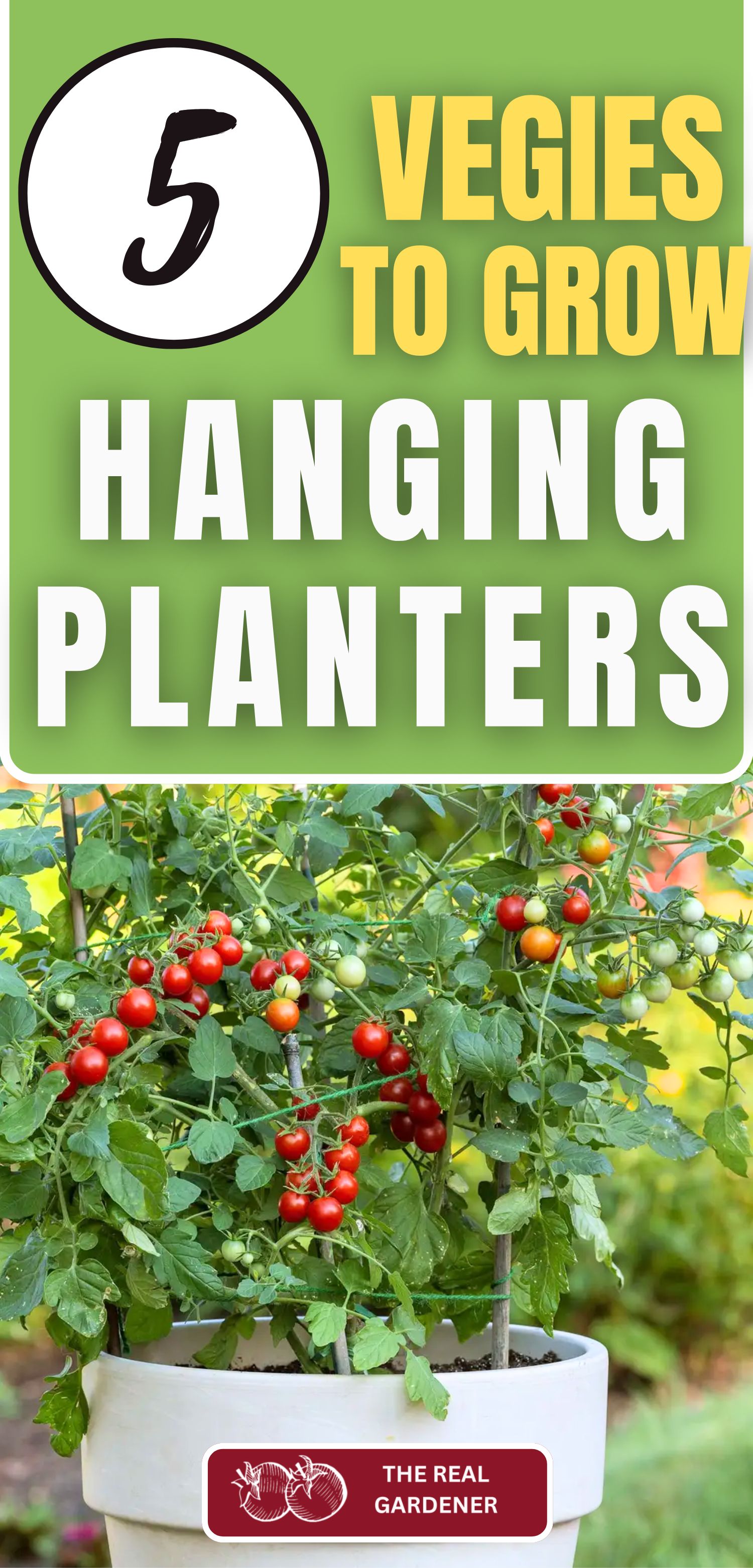 5 vegetables to grow in hanging planters
