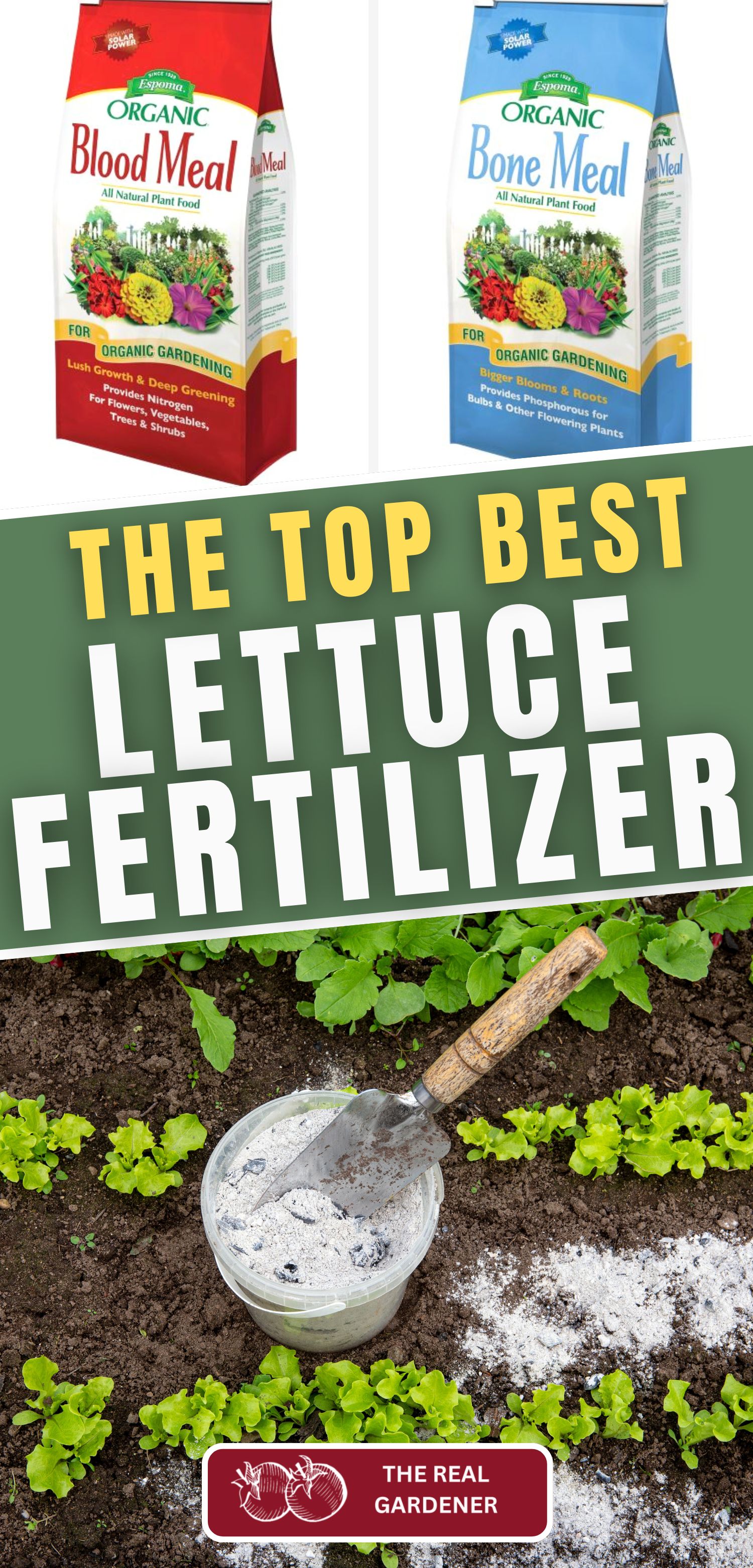 the top best lettuce fertilizer