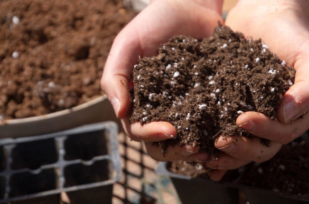 potting soil being held by two hands
