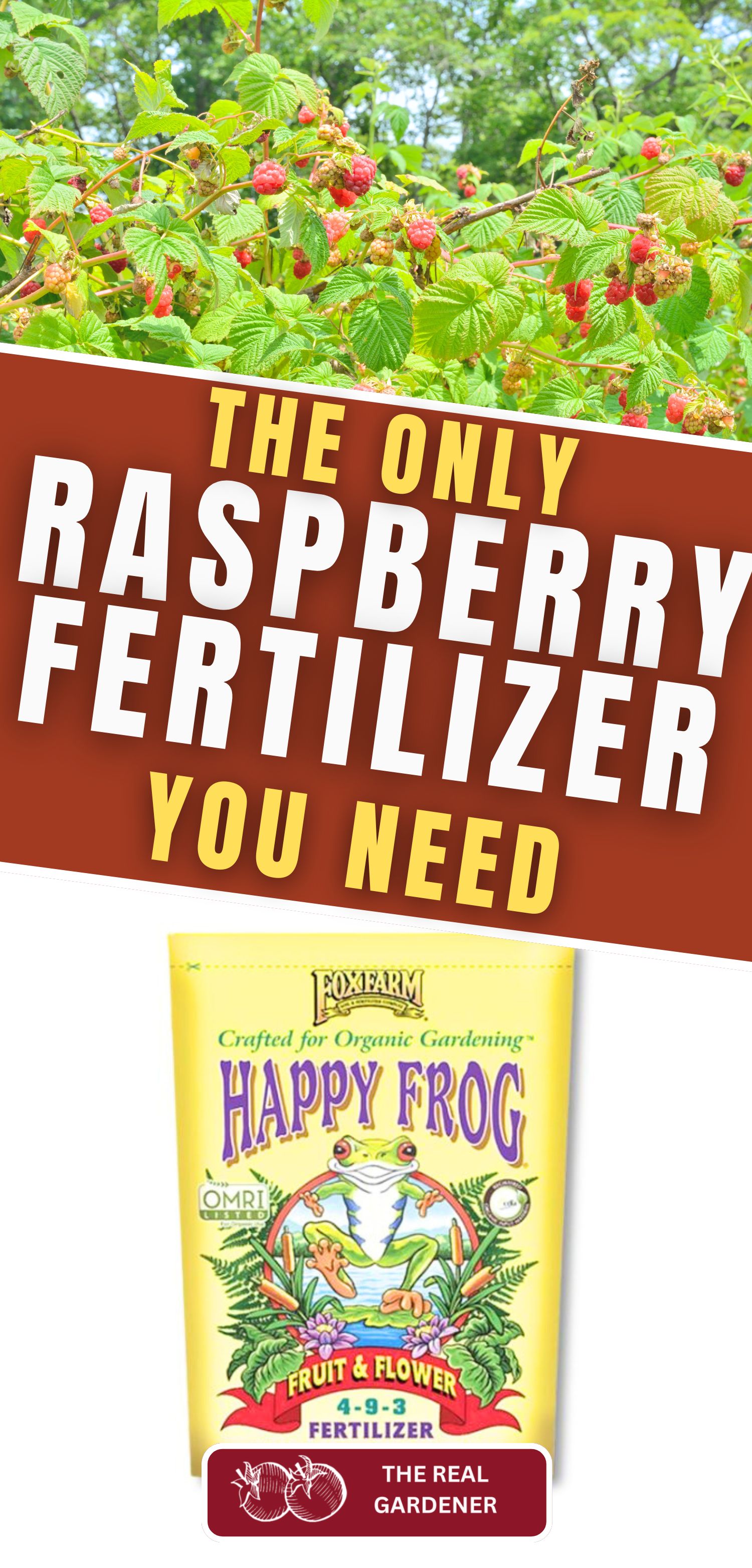 the only raspberry fertilizer you need